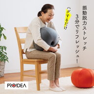 抱えてるだけで、硬くなった首・肩・背中を一気にストレッチできる球体型の振動ストレッチアイテム（0070…