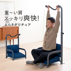 ぶらさがりチェア ストレッチ 懸垂 ぶら下がり健康器 座椅子 骨盤矯正 腰痛 姿勢 肩 肩甲骨 イス クッション マッサージ フィットネス ヨガ ギフト プレゼント（0070-4254 リストレッチ ぶらさがりチェア）プロイデア ドリーム