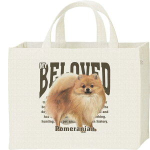 |jAiV[Yj^LoXobOEXNGA