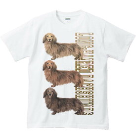 ミニチュア ダックスフンド（三色ダックス）犬／半袖Tシャツ