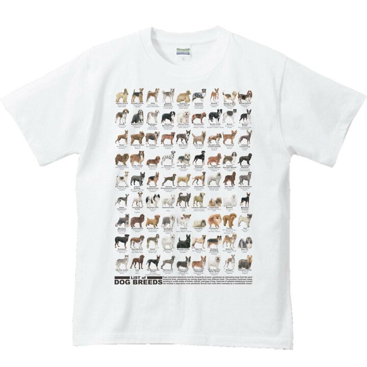 楽天市場 犬のリスト 半袖ｔシャツ Myds 楽天市場店