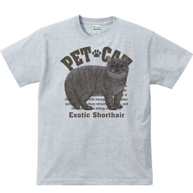 エキゾチック ショートヘア（愛猫シリーズ）／半袖Tシャツ
