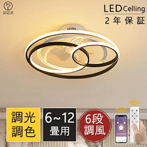 y2Nۏ؁zV[Ot@Cg dc[^[ V[Ot@ 12 ^ F  k t@tƖ ʒ É Rt Ɩ VƖ ȃGl 铔[h 