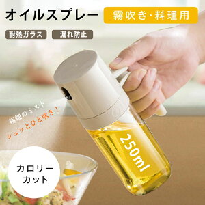 ICXv[ ϔMKX   IC{g 250ml ɍׂ̃~Xg |bg ICXv[{g p   Xv[ KX Hp Rh~ Lb`p tꂵȂ L