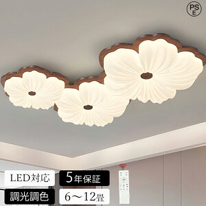 yVi 5Nۏ؁z5Nۏ؁ V[OCg LED  F k rO Ɩ VƖ Ɩ 킢 q dC Q Rt X}z  6 8 10 12 V[