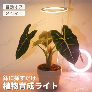 A琬Cg LED z  ^C}[ A琬LED ϗtA琬Cg A琬 49LEDv z ͔|Cg k͔|v ⑫ ƕs A𑣐i 