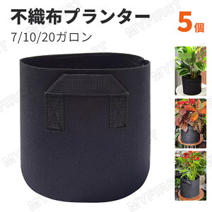 sDzv^[ 12K sDz|bg 5Zbg sDz v^[ 7K 20K z ͔| Aؔ 50×40cm tFg 35×28cm 40×35cm sDz|bg A y y [  z zA