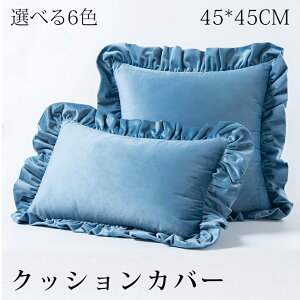 NbVJo[ 45×45cm t xA xxbh  IV 킢 ͗lւ V NbV Jo[ 􂦂 k i` l炵 rO \t@ xbh v[g M
