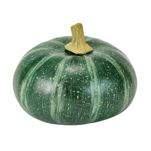 y zxWpvL tFCNt[h u ڂ pvL A[eBtBV nEB HW000892