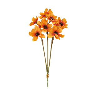 yz MAGIQ  ԍ RXXsbN IW 1 A[eBtBVt[ RXX H FM004215-109yi A[gt[z