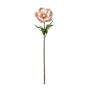 yz MAGIQ  ԍ Allxx CgsN A[eBtBVt[ All FJ004754-002yi A[gt[z