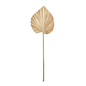 yz MAGIQ  ԍ Gg[t@p[ VpS[h A[eBtBVt[ p[[t gsJ[t  FJ000126yi A[gt[z