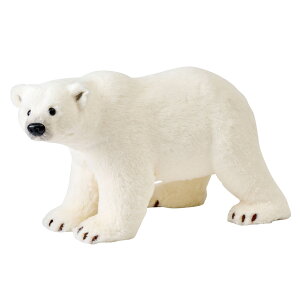 y z|[[xA zCg NX}X fBXvC VN}̒u CeA VN} XZ000125