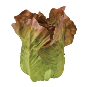 yz MAGIQ  ԍ Tj[^X O[uE tFCNt[h  A[eBtBVt[ FV001804ytFCNO[ A[gt[ ԍށz