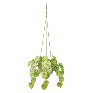 yz MAGIQ   ԍ }[u|gXnMO O[ ϗtA tFCNO[ A[eBtBVt[ CeAO[ FZ002009yrO  lHϗt