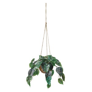 yz MAGIQ   ԍ AXEnMO O[ ϗtA tFCNO[ A[eBtBVt[ CeAO[ FZ002010yrOz