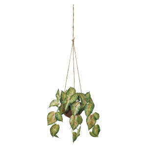 yz MAGIQ   ԍ J[hAXEnMO O[bh ϗtA tFCNO[ A[eBtBVt[ CeAO[ FZ002011yrO 