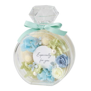 y zvU[uht[ IWi tOX{gLuna O[ AWg ZY006322-024yuU[ht[ Mtg j  j a v[g 