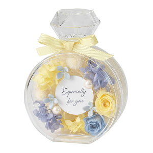 y zvU[uht[ Mtg IWi tOX{g Luna CG[ AWg ZY006322-004yav uU[ht[ җj j a v[