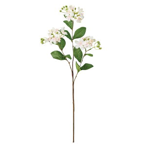 yz MAGIQ  ԍ Z[kXet@m`X CgsN A[eBtBVt[ Xet@m`X WX~ uoA FM002780-002yi A[gt[z