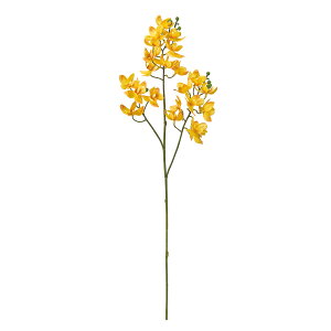 yz MAGIQ  ԍ iI[Lbh CG[ A[eBtBVt[ I[Lbh  FM001032-004yi A[gt[z