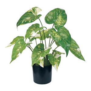 yz MAGIQ  ԍ VSj[|bg O[ ϗtA tFCNO[ A[eBtBVt[ CeAO[ FG000175yi A[gt[ tFCNO