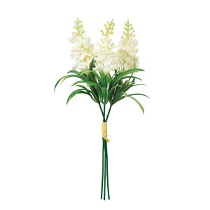 yz MAGIQ  ԍ JxjJsbN N[zCg A[eBtBVt[ xjJ FM004436-001yi A[gt[z