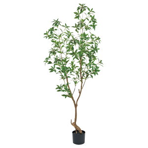 東京堂 観葉植物 インテリア」の人気商品一覧 | 安い商品を通販サイト 