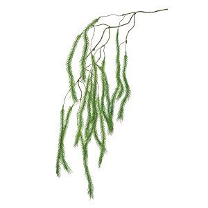 yz MAGIQ  ԍ nMOXt@[ O[ A[eBtBVt[ FG004020ytFCNO[ A[gt[ ԍށz