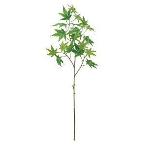 yz MAGIQ  ԍ ݂ O[ A[eBtBVt[ ݂ [v FG002029ytFCNO[ A[gt[ ԍށz