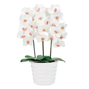 y zIWi sAI[Lbh3{i}At@mj A[eBtBVt[()AWg  Ӓ G}H ZV007020yA[gt[ j 