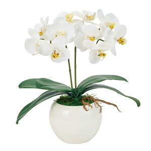 y zIWi sAI[Lbh2{iVF[t@mj zCg A[eBtBVt[()AWg  Ӓ G}H ZV008072-001yA[gt