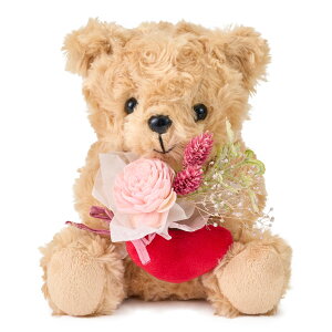 yP5{zyzIWi \t[xAu[P AWg Mtg ZA003028yj a v[g  ̎q FB AWg \ t[Mtg ܂