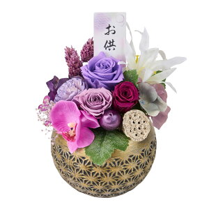 y zIWi Ttî́j p[v AWg vU[uht[ t[lAW  ZY005014-017y ~ ~ V~   蕨 49