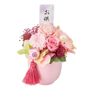 y z vU[uht[  IWi Ԉiȁj  AWg t[lAW ZY005311yuU[ht[ p   ~ 