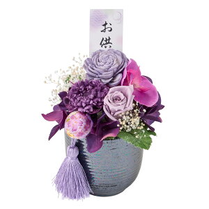 y z vU[uht[  IWi Ԉiȁj  AWg t[lAW ZY005311yuU[ht[ p   ~ 