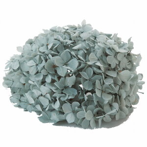 y zt[Go[ AfXAWTC ~XgO[ vU[uht[ FL000291-042 20g zԁyvU[uht[ ԍ  z ͂Ȃ Ԃтz