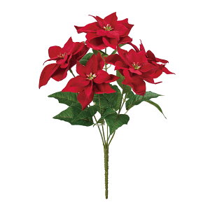 y zMAGIQ ~j|CZ`AubV bh A[eBtBVt[  NX}X FX003436-003y ԍ ~ NX}X i A[gt[z