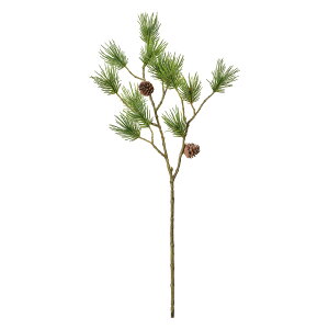 y z  } O[ GREEN JV001862