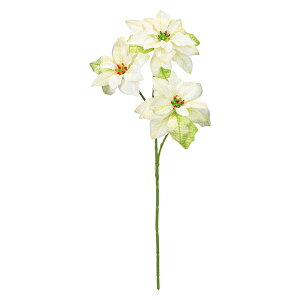 y zMAGIQ  A[eBtBVt[ fB|CZ`A zCgO[ #1 WH/GR FX001023-001y ԍ ~ NX}X i A[gt[z