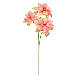 y zMAGIQ  A[eBtBVt[ fB|CZ`A sNO[ #2 PK/GR FX001023-002y ԍ ~ NX}X i A[gt[z