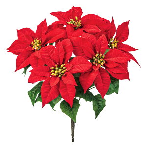 y zMAGIQ  A[eBtBVt[ }VF|CZ`AubV5 bh RED FX009946y ԍ ~ NX}X i A[gt[z