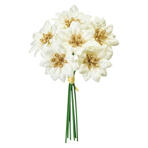 y zMAGIQ  A[eBtBVt[ G[f|CZ`AsbN N[ CREAM FX004708y ԍ ~ NX}X i A[gt[z