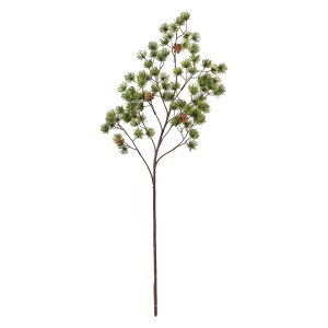 y z   O[ GREEN JV000106