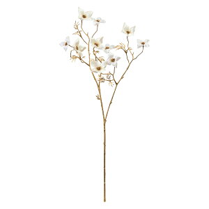 y zMAGIQ  A[eBtBVt[ rW[}{EV zCg #1 WHITE FJ003134-001