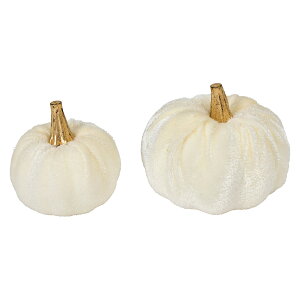 �y������ �����z �x���x�p���v�L���A�\�[�g �z���C�g #1 WH HW001873-001�y�f�R���[�V���� �n���E�B�� �u�� �n���E�B���I�[�i�����g�z