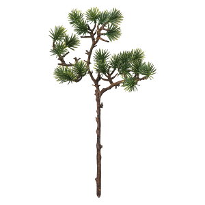 y z  菼 O[ GREEN JV001615