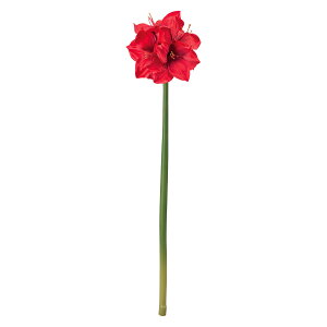 �y������ �����zMAGIQ ���� �A�[�e�B�t�B�V�����t�����[ ���[�i�A�}�����X ���b�h #3 RED FM003000-003