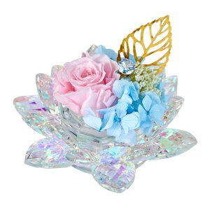 y zvU[uht[   I[@ԁi񂩁j I[sN #2 I[sN ZY000404-002