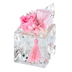 y zvU[uht[   ԁij sN #2 sN ZY000405-002